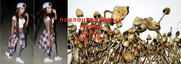 марихуана Белоозёрский